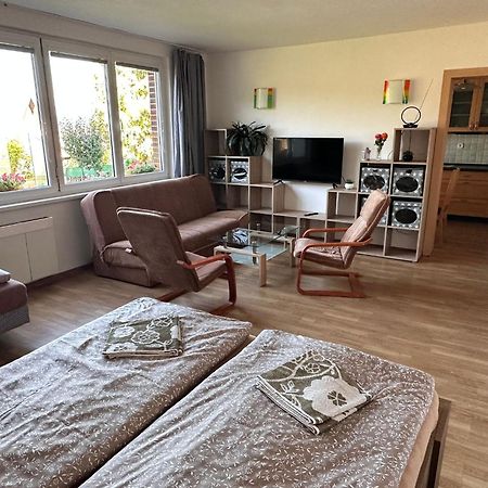 Apartmany U Rybnika Чеський Крумлов Екстер'єр фото